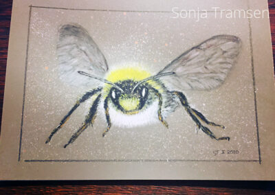 Hummel in Pastell. Von Sonja Tramsen